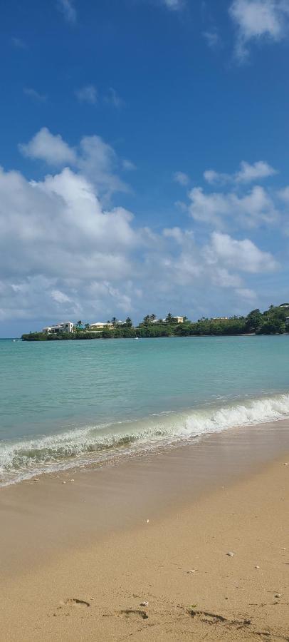 Breezy Nights St. Croix Apartment Кристианстед Екстериор снимка