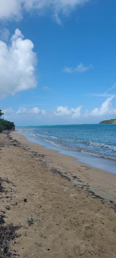 Breezy Nights St. Croix Apartment Кристианстед Екстериор снимка