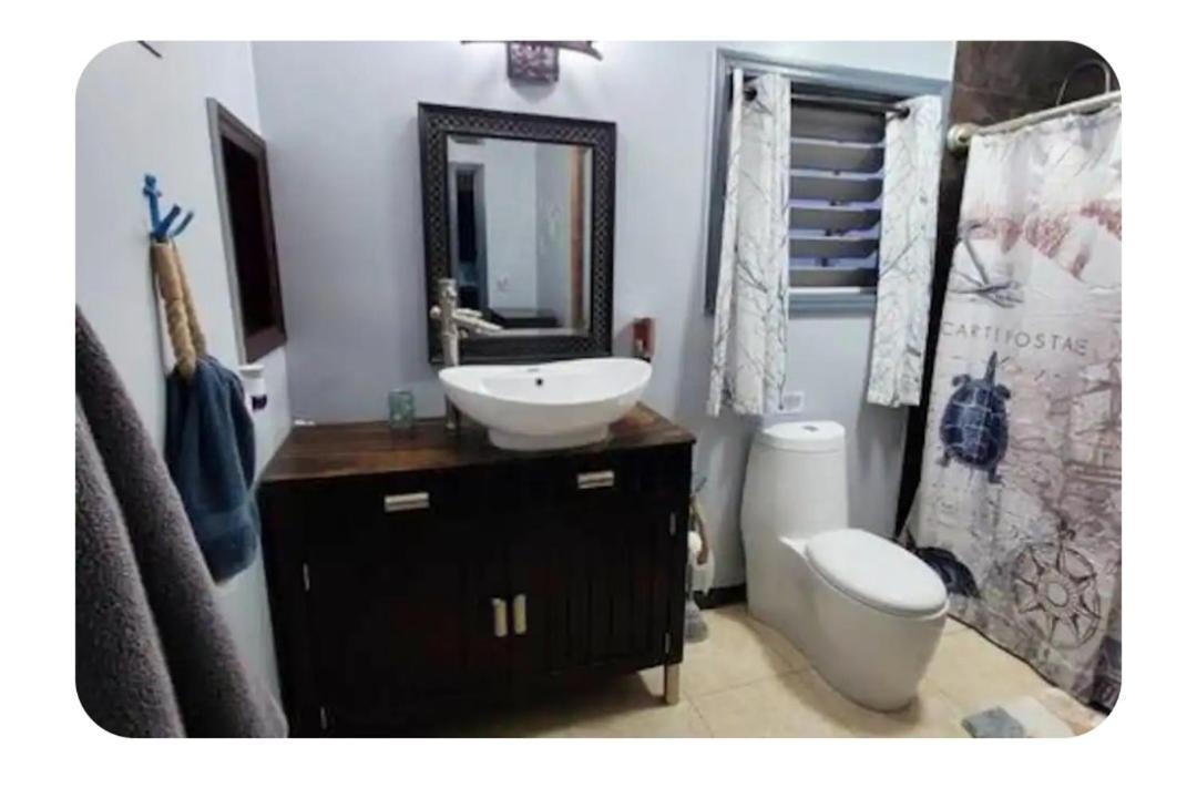 Breezy Nights St. Croix Apartment Кристианстед Екстериор снимка